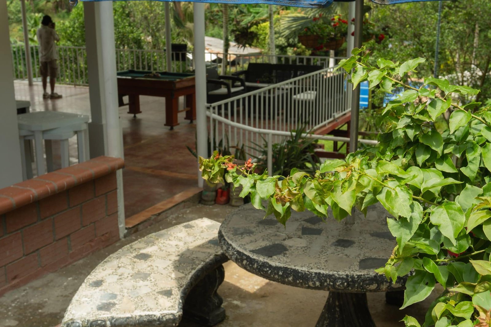 Exterior Finca El Tesoro Escondido Pereira turismo rural Risaralda